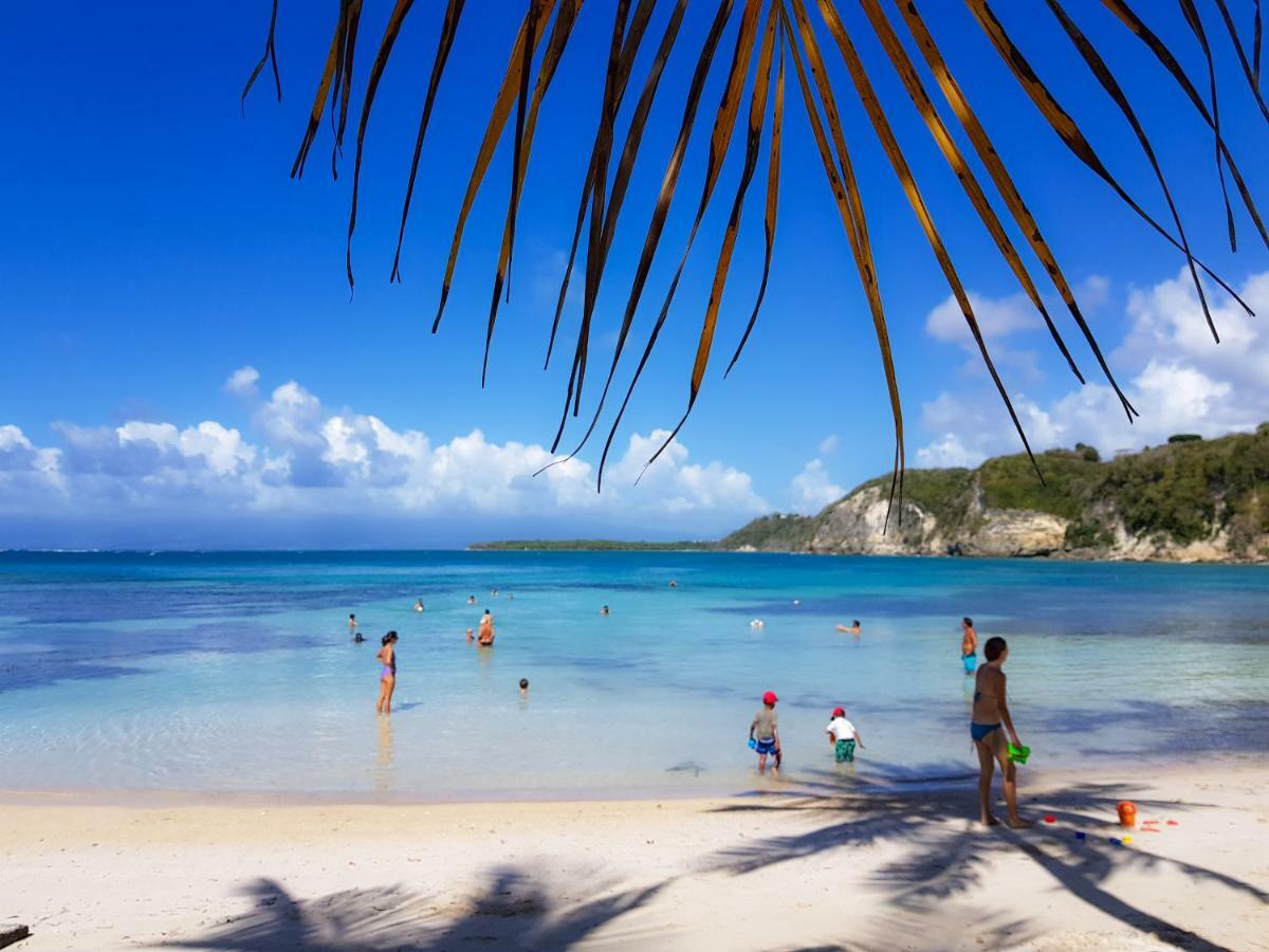 Blue Paradise Le Gosier  Ngoại thất bức ảnh