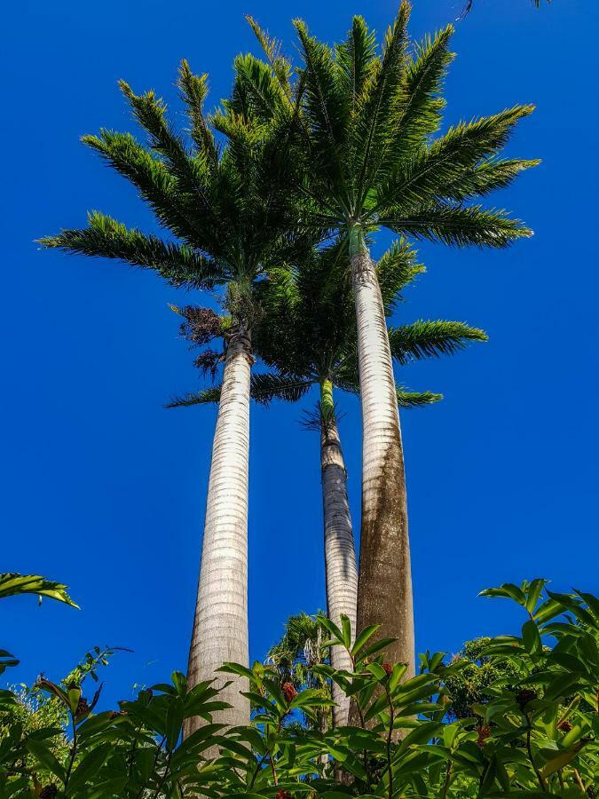 Blue Paradise Le Gosier  Ngoại thất bức ảnh