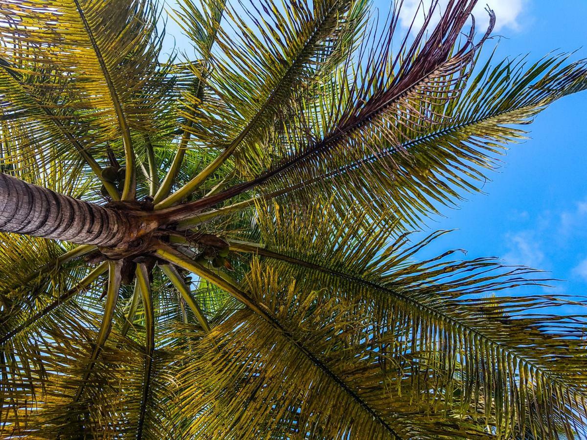 Blue Paradise Le Gosier  Ngoại thất bức ảnh